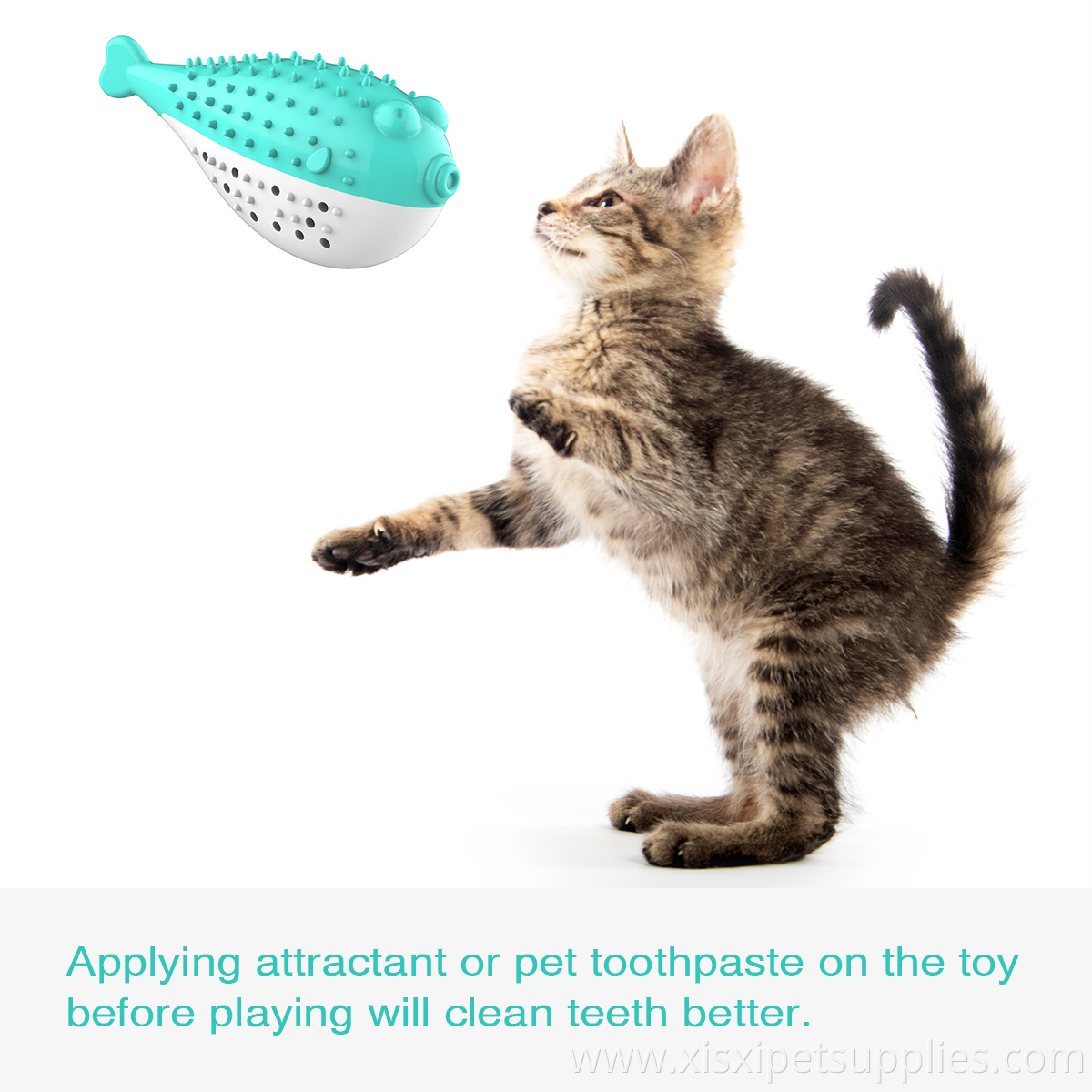 Pet Suppliers Customized Luxury Eco Pet Cat Toothbrush Toy